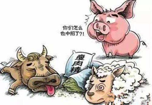 兽药残留检测仪如何检测？
