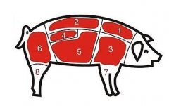 病害肉检测仪让老百姓吃上放心肉！