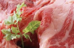 购买食品安全速测仪时，需要注意哪两点？